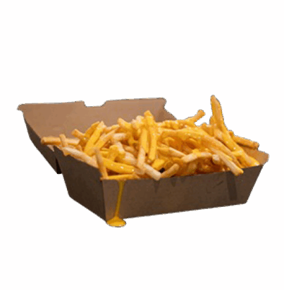 cheese loa fries